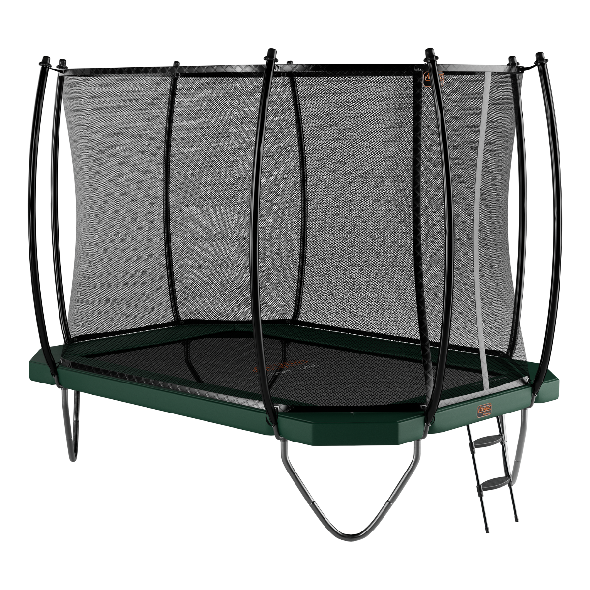 Avyna Pro-Line 234-340x240 + Royal Class Netz & Leiter Grün