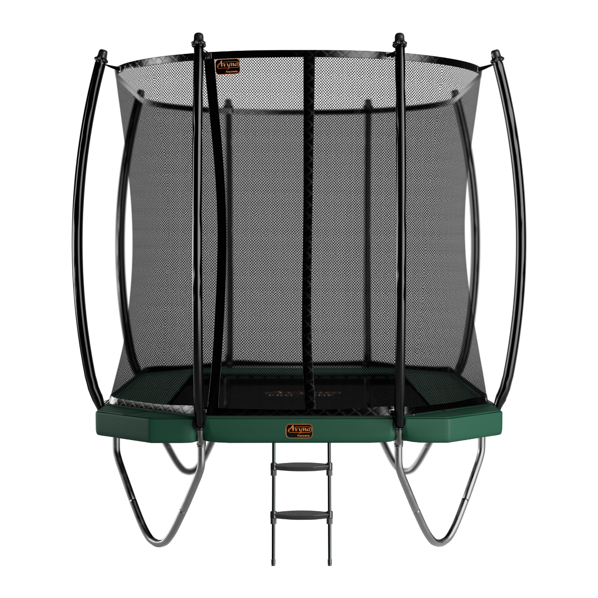 Avyna Pro-Line 234-340x240 + Royal Class Netz & Leiter Grün