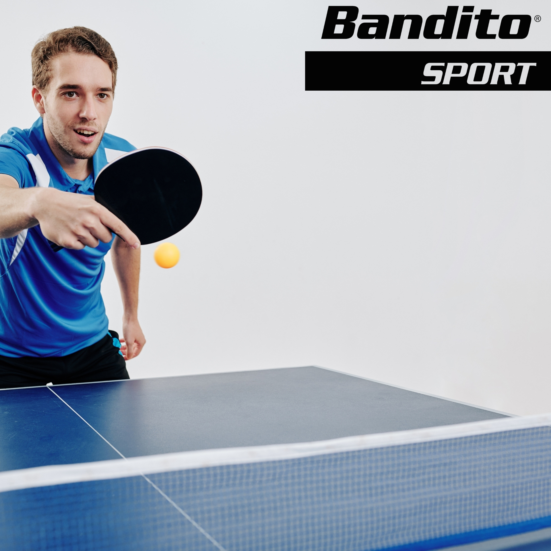 Tischtennisplatte als Auflage inkl. Netzgarnitur