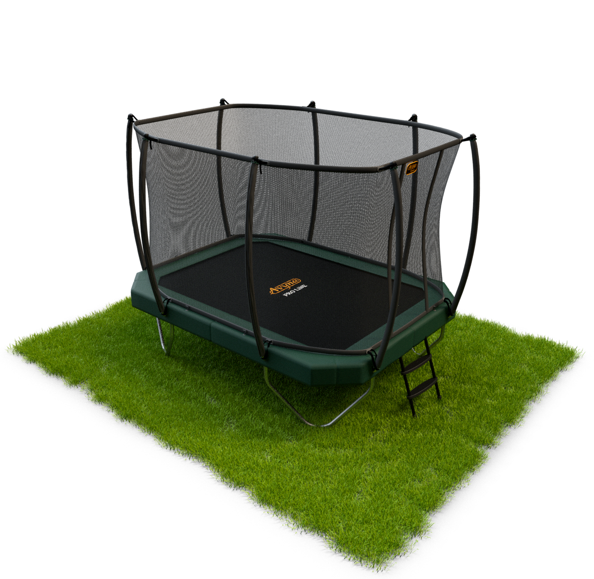 Avyna Pro-Line 234-340x240 + Royal Class Netz & Leiter Grün