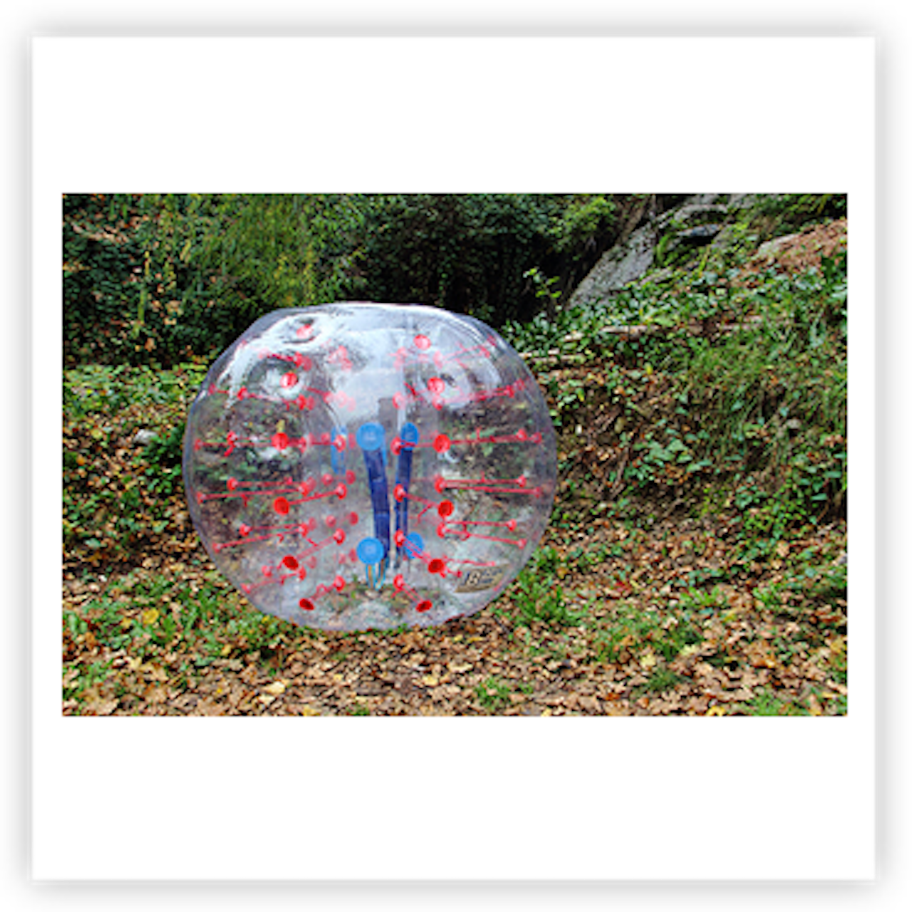HappyHop Bumper Ball