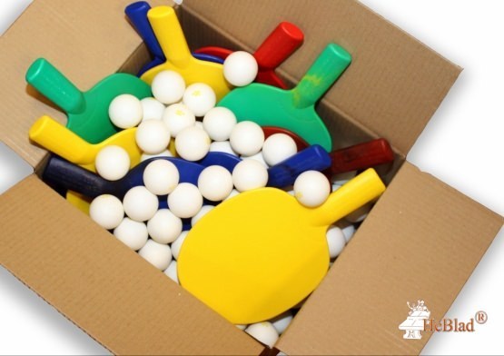 Tischtennis Starter-Set Schule