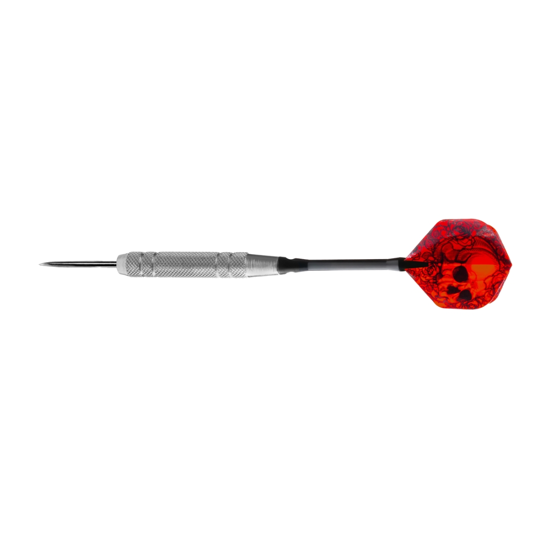 19g Steeldarts Karella in Dose 24 Stk.