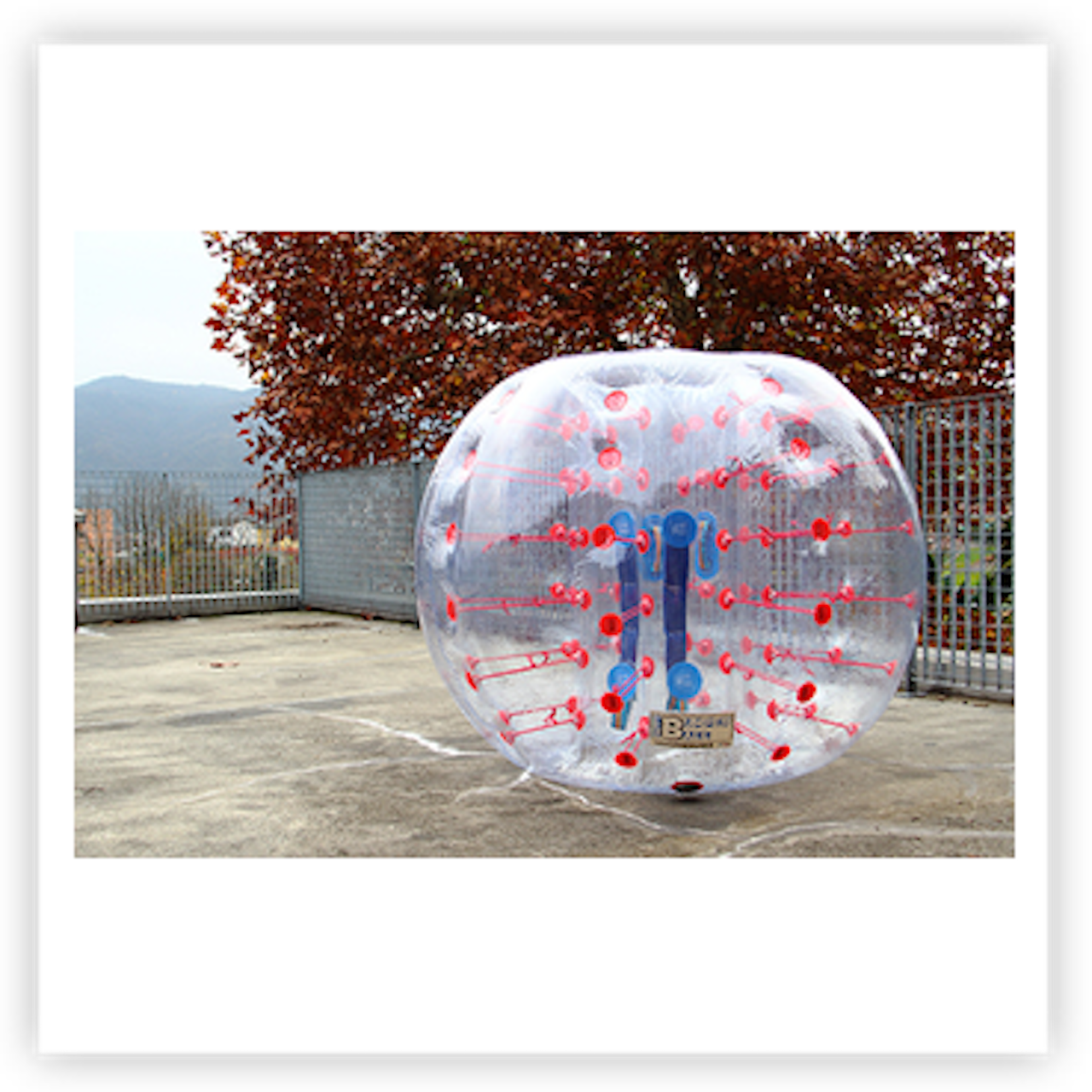 HappyHop Bumper Ball