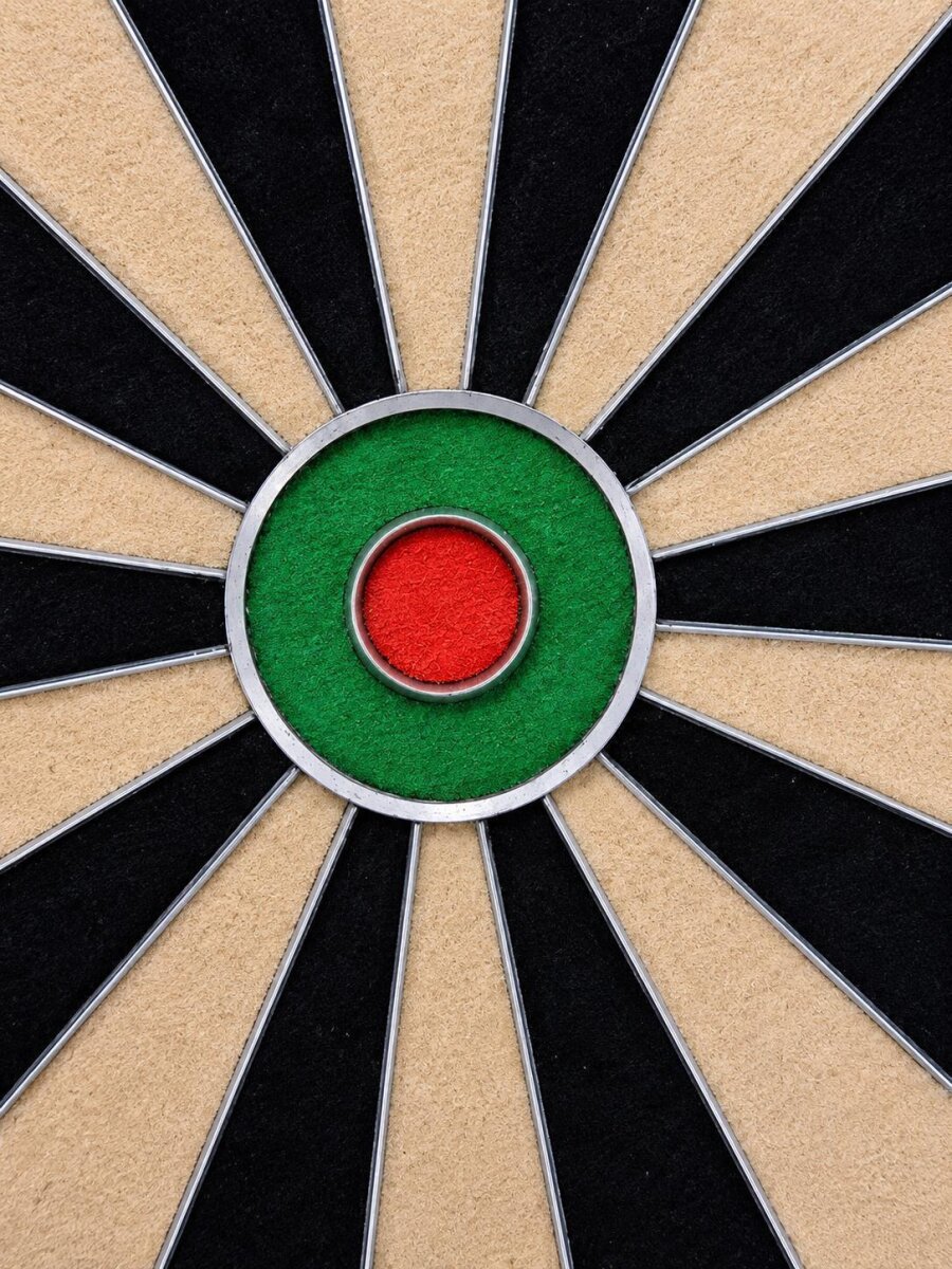 Keltik Ravencore Dartboard Set mit Dartständer